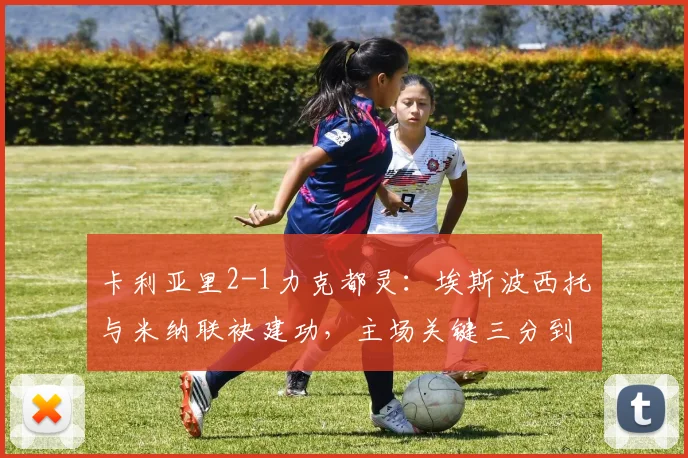 卡利亚里2-1力克都灵：埃斯波西托与米纳联袂建功，主场关键三分到手