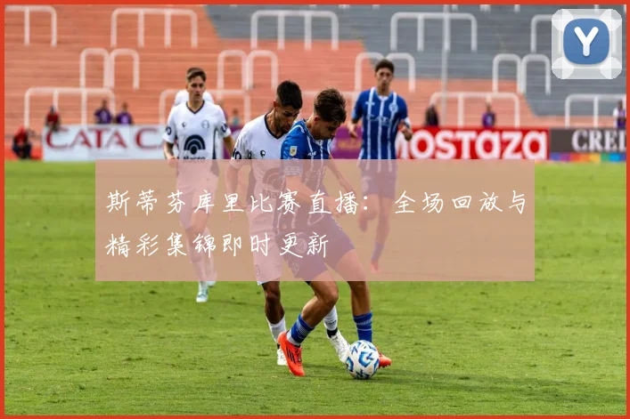斯蒂芬库里比赛直播：全场回放与精彩集锦即时更新